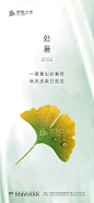 【源文件下载】海报 处暑 二十四节气 落叶 ,设计作品集