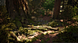 UE4 Redwood Forest V2 Update, Willi Hammes : Latest updated version of the procedural giant sequoia forest in Unreal Engine 4. Tones of new assets and massive tweaks to all textures and materials. The updated pack is now available via cgtrader: https://ww