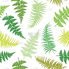 式样,生物学,华丽的,欧洲蕨,纺织品,枝繁叶茂,草,植物,夏天,蕨类