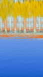 General 2251x4000 nature water portrait display reflection