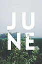Daily Design Inspiration