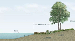 黎柒子采集到植物工艺