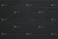美丽的树林