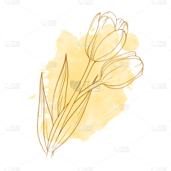 方梨采集到免抠PNG