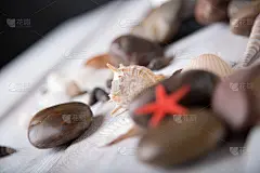 清新纯净的海滨概念