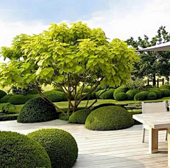 森艺景观采集到精品组团