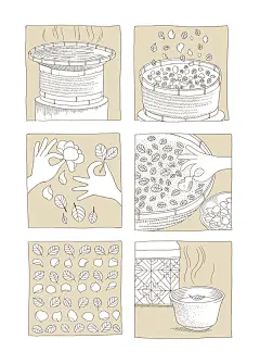 八拾捌茶 : 台灣茶品牌——八拾捌茶，窨製花茶系列主視覺插畫