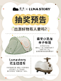 准备放假！价值800+的花生车和帐篷谁想要！ - 小红书