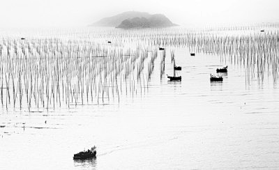1x.com • Landscape