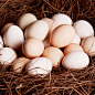 谷物饲养】鸡蛋新鲜批发整箱大个农家土鸡蛋40枚散养笨柴鸡蛋包邮