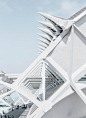 西班牙，瓦伦西亚，艺术科学城 / Santiago Calatrava - ArchGo!