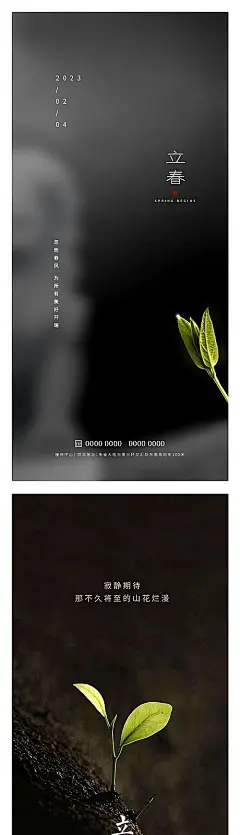 【素材能量站】节气 立春 春季 春天 叶子 绿叶 发芽 萌芽|987621 