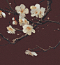 夫人画画的照片 - 微相册