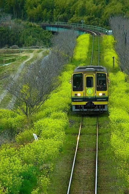 这条美景四溢的路上、走多久、走多远、都由...