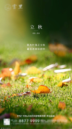 Mmm95采集到节气