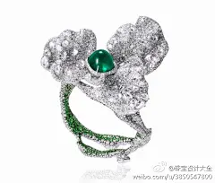  设计师 Cindy Chao作品 ​​​​