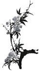 中国古风水墨花手绘水彩植物花卉装饰 免抠png透明图片背景ps素材 (168)