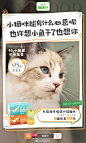@天猫超市 的个人主页 - 微博
