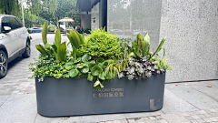 每天三块砖采集到H-花箱