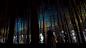 走，走，走──孟宗竹林 / Walk, Walk, Walk - Moso Bamboo Forest | teamLab