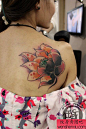 女孩子背部唯美好看的彩色莲花纹身图案