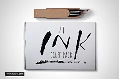 墨水笔刷图案设计素材Ink Brush Pack for Illustrator 设计模板 