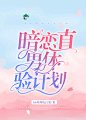 校园总裁纯排封面，晋江文学，往知制作