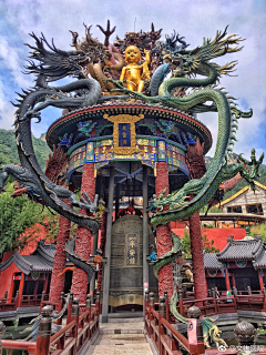 马克艾力克采集到图案