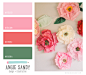Color Crush 3.6.2014 - Angie Sandy #colorpalette