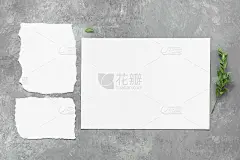 空白名片和绿色干黄杨树枝。灰色的具体背景。现代简约的文具模型。俯视图，平放，复制空间