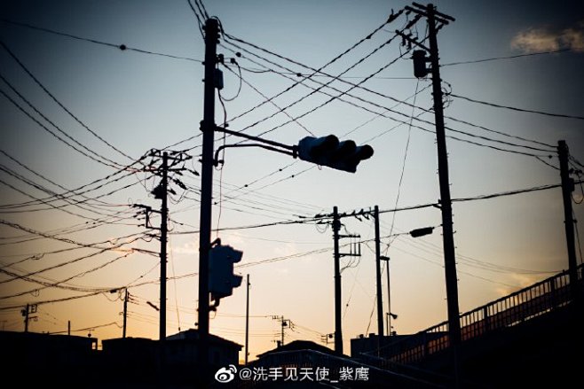 我会喜欢电线杆怎么想都是庵野秀明的错67676767