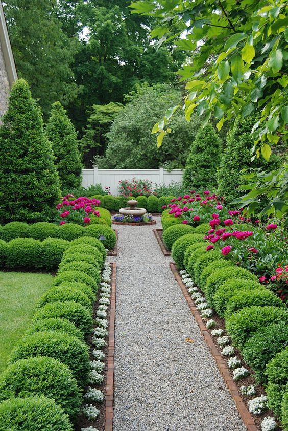 Boxwoods galore in o...