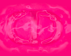 iksno采集到Dior