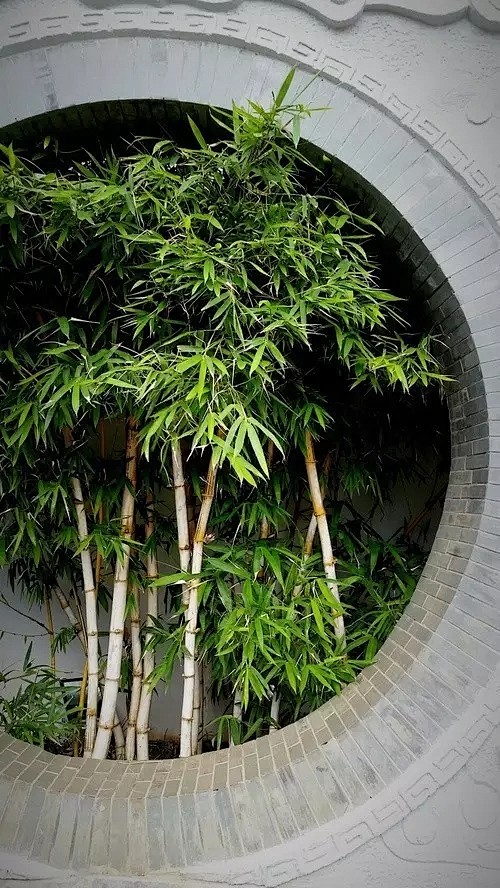 情于中式庭院 - 建筑园林 新中式风格装...