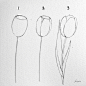 Tulip
How to draw flowers for beginners? - with pictures step-by-step