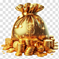 a bag of golden coins