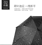 双层全自动超大晴雨伞防暴雨台风三人纤维高尔夫防身男女长柄直柄-淘宝网