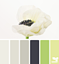 Design Seeds® | find your palette