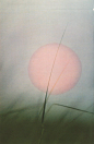 Pin page