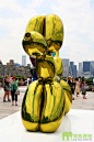 艺术家Jeff Koons的华丽公共雕塑