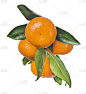 86fe8c5e55b9069af513a1f2ebebe36e0e81bafc25a45-CJKaw9_fw1200webp (1)