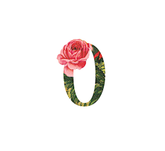 陈择笙采集到字母+花卉