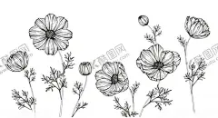 花卉矢量简笔画 【酷图网】花卉,简笔画,黑白,矢量,花朵