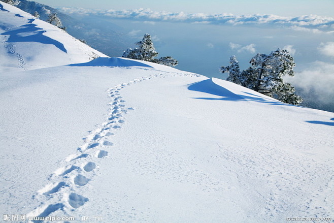 雪地脚印