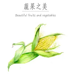 蔬果之美_和夕夕__插画师作品_涂鸦王国gracg.com