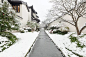 杭州濱江盛元湘湖裏|瑞雪傾蓋不遮彩，一路繁花迎春來 : 瑞雪兆豐年