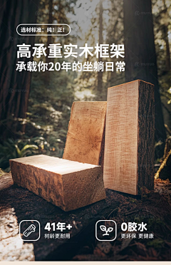 SUNNY亚比采集到实木