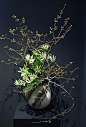 Kyoto Ikebana Exhibition by Mai Wakisaka Photography, via Flickr