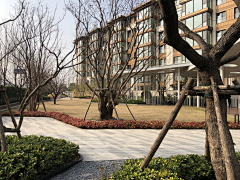 baimilier采集到09 正商·珑水上镜