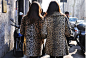 leopard coats